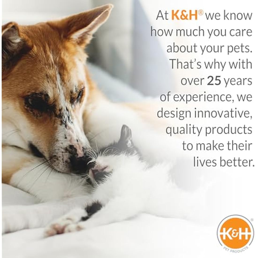 K&H Pet Products Original Pet Elevated Bed for Dogs/Cats, Medium, Blue