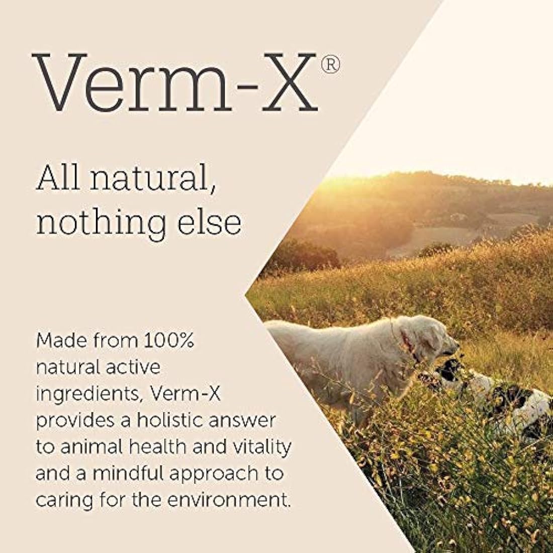Verm-X All Natural Treats for Dogs. Supports Intestinal Hygiene. Vet Approved. UFAS Assured. Restores and Maintains Gut Vitality. Wormwood Free Recipe.