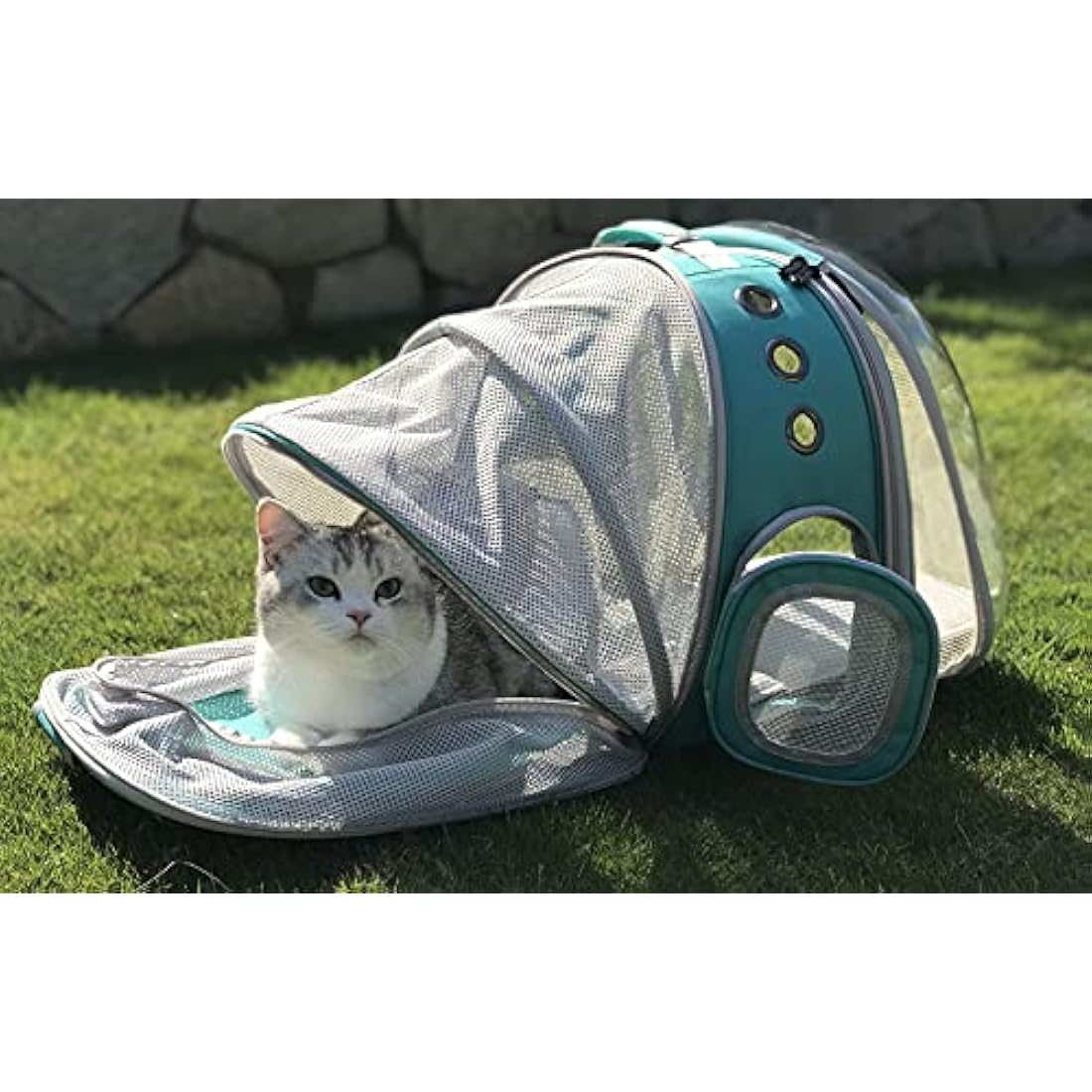 Interfashioner® Large Cat Backpack Carrier, Front & Back Extension Clear Pet Buble Backpack Carrier for Fat Cat Small Dog up to 9kgs, Backpack for Large Cats
