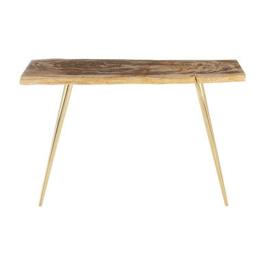Natural and Rustic Petrified Wood Console Table Slim Brass Finish Iron Legs | Relic