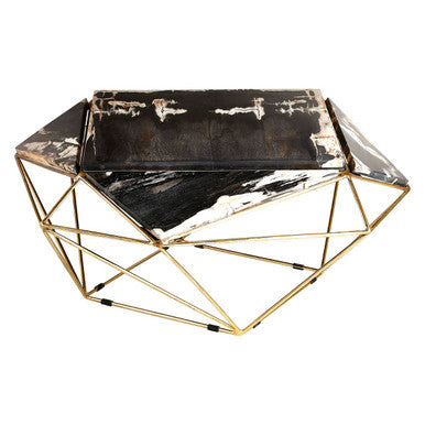 Relic Dark Petrified Wood Geometric Coffee Table
