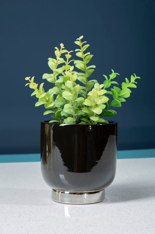Callie Black Small Planter With Silver Finish Base