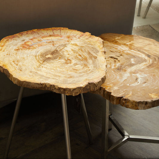 Relic Small Petrified Wood Side Table