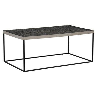 Akola Rectangle Coffee Table in Silver and Glass