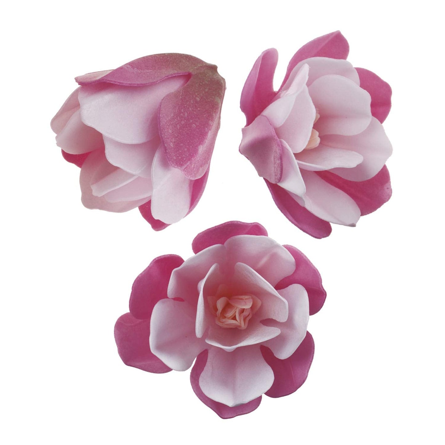 Dekora - Edible Magnolia Flower For Cake Decoration, Pink 6.5-7 cm - 6 Flowers