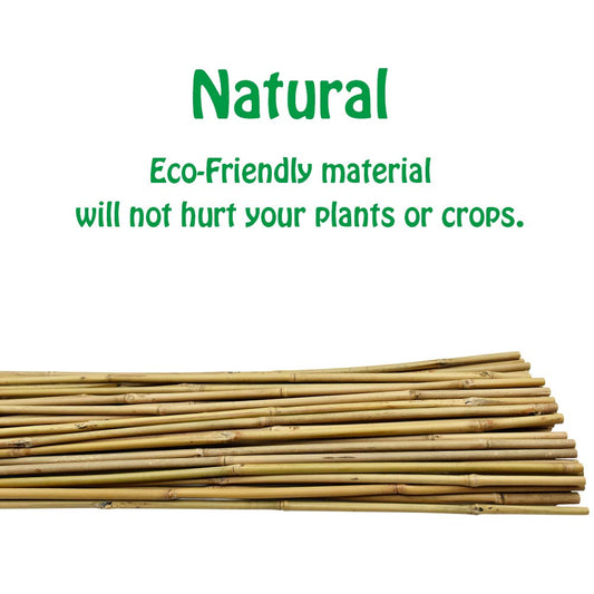 Mininfa Natural Bamboo Canes 5 Feet, Bamboo Stake, Eco-friendly Garden Stakes, Plant Stakes Supports Climbing for Tomatoes, Trees, Beans, 20 Pack