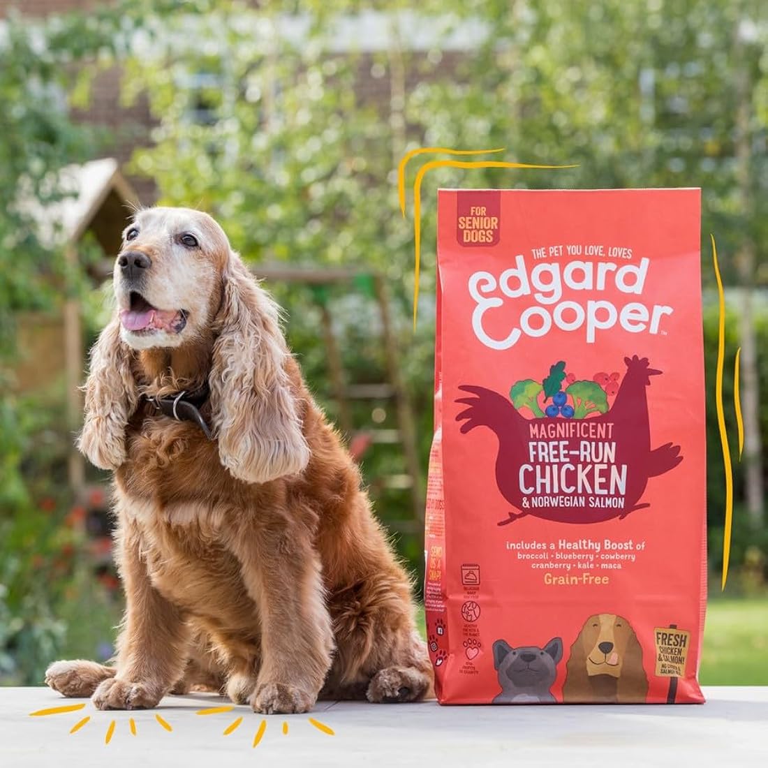 Edgard Cooper Senior Grain Free Dry Dog Food (Chicken & Salmon 7kg), Natural Kibble for Senior Dogs, Fresh Meat, High Protein, Gluten-Free, Non-GMO