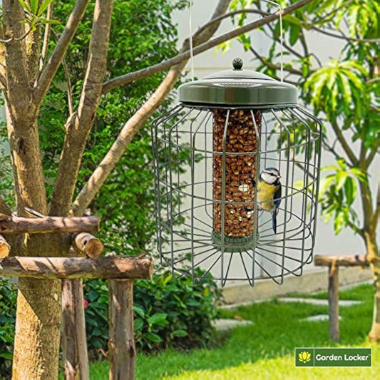 Large Heavy Duty Squirrel Proof Bird Feeder for Peanut Feed Outdoor Garden use - Mocha Brown - with Strong Galvanised Metal Cage to Deter Squirrels & Large Birds