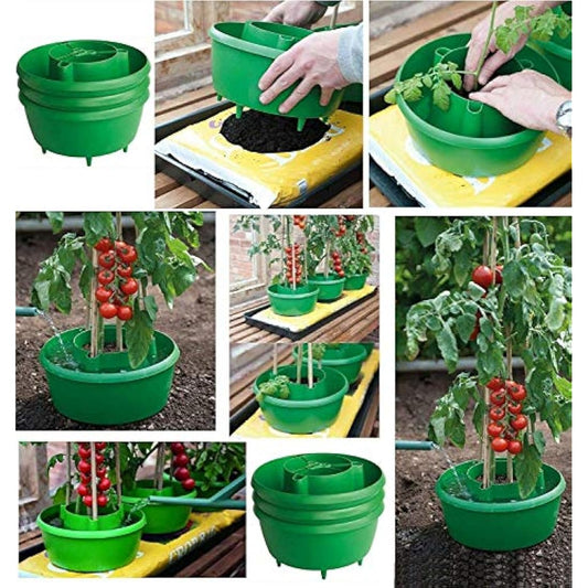 Plant Halos Pots Watering Crop Support Garden Plant Halo (9, GREEN)