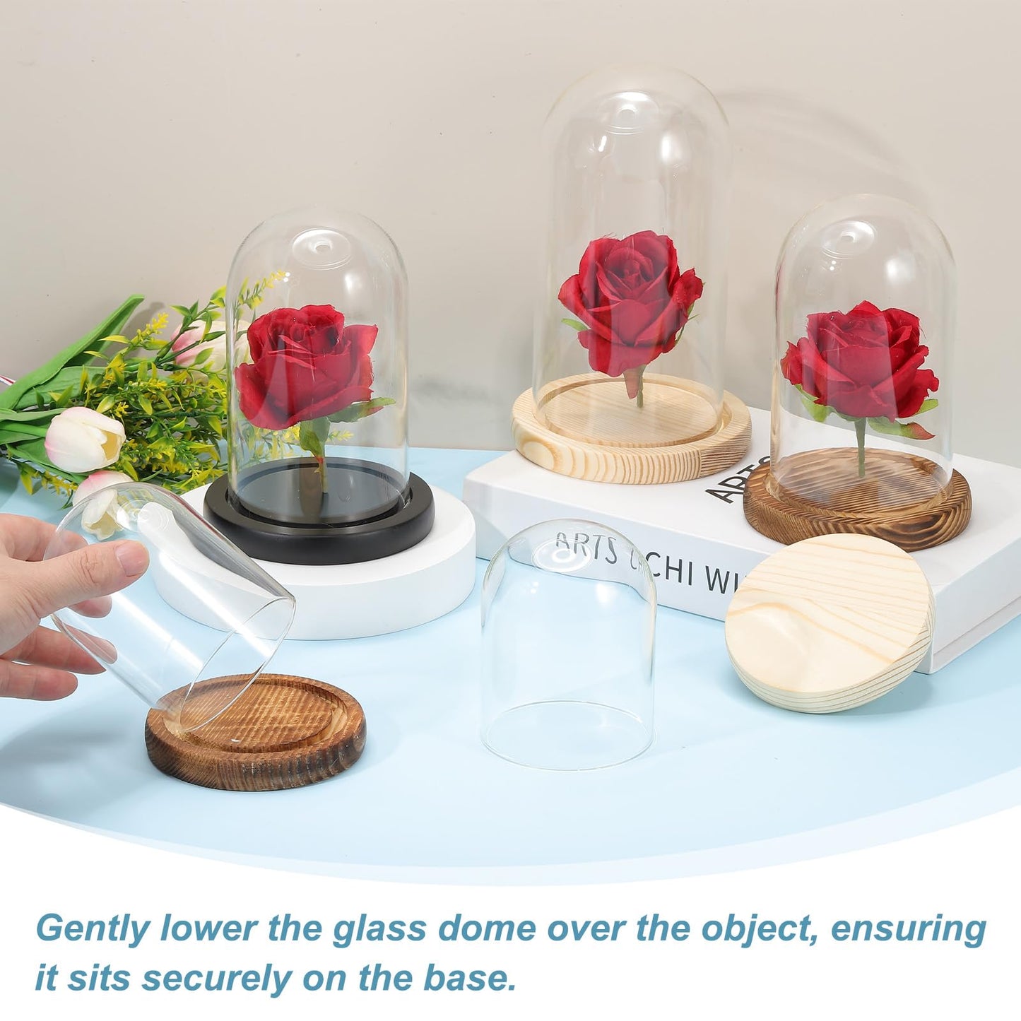 sourcing map Glass Cloche Display Dome, 6.6" x 5.9" Glass Dome Display Case Wood Base Tabletop Jar Case Decorative Bell Jar for Plant Home Decor