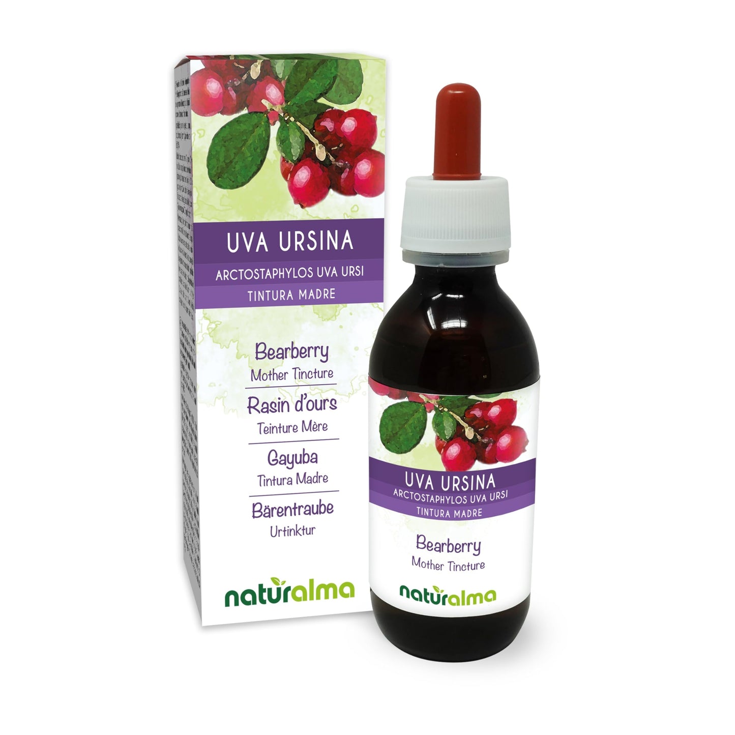 Bearberry (Arctostaphylos uva Ursi) Leaves Alcohol-Free Mother Tincture Naturalma - Liquid Extract Drops 120 ml - Food Supplement - Vegan