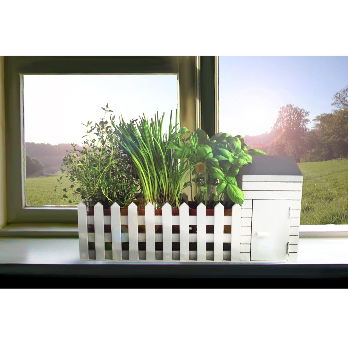 Oliphant Indoor Allotment Gift Set Herb Garden