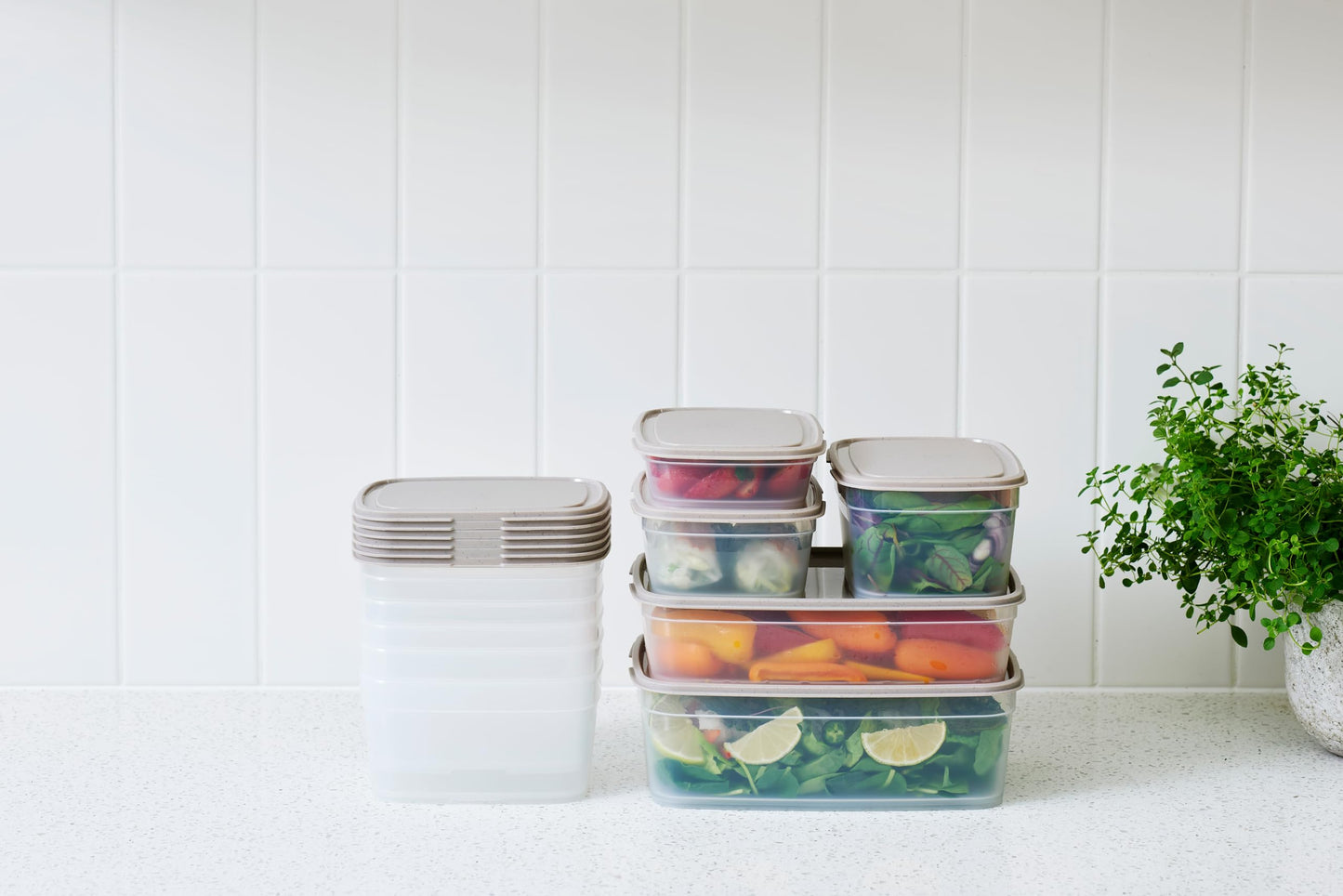SmartStore Leakproof Food Storage Container 1,6L - Set of 6 | Dishwasher, Fridge, Microwave Safe | Lunch Box Meal Prep | Food Approved, BPA Free