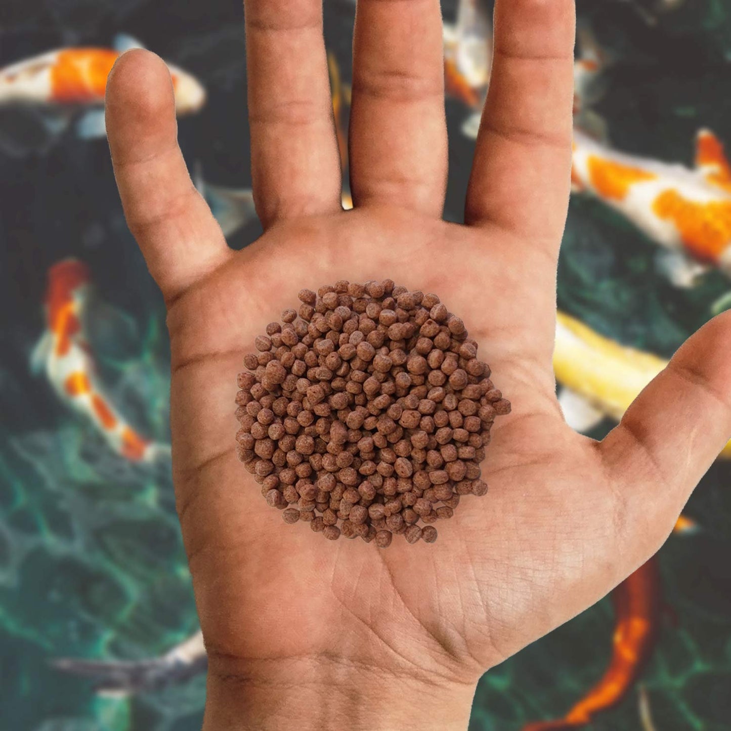 Nishikoi Growth Complete Food for Koi and Pond Fish - Small Pellets - 2.5kg