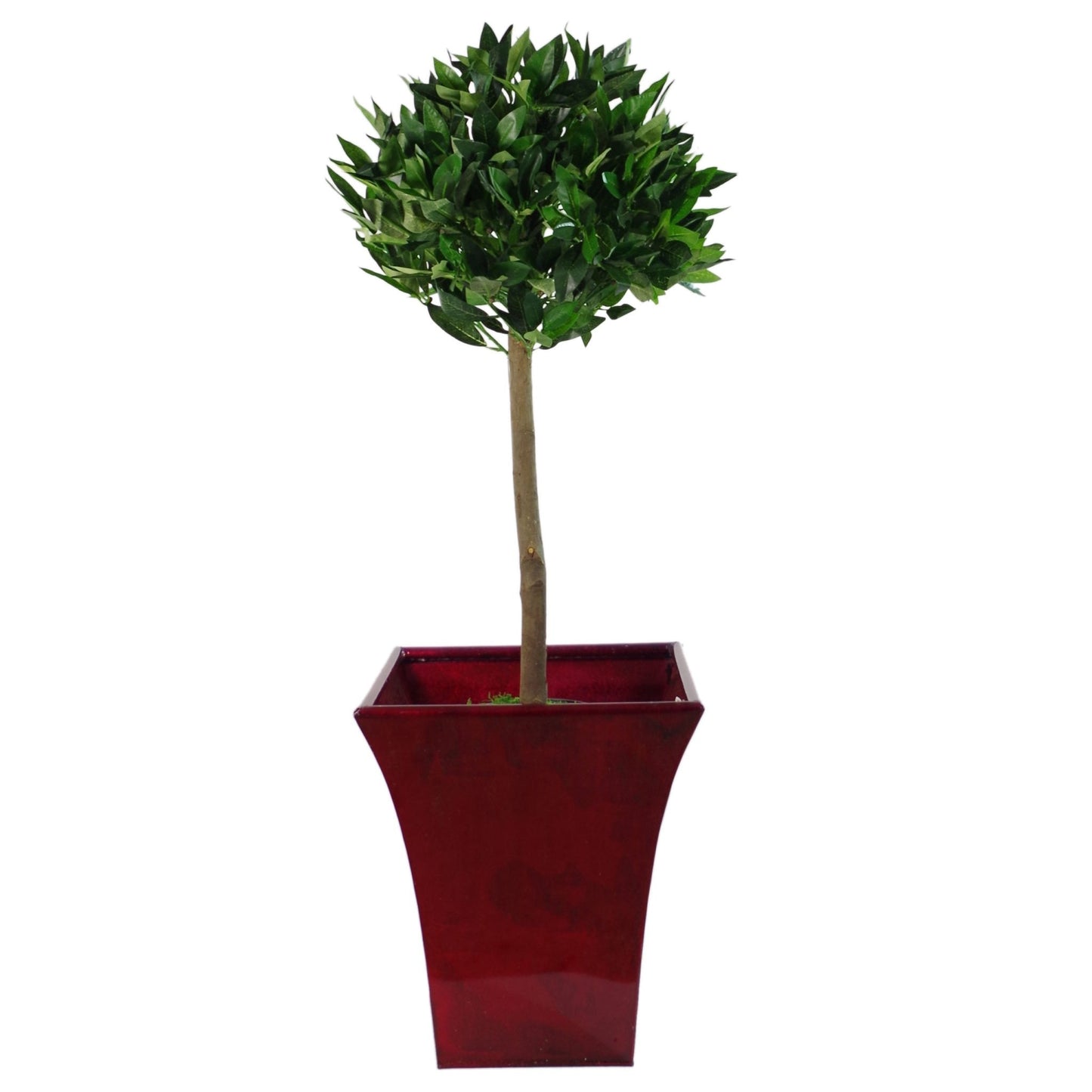 Leaf Design UK Pair of Artificial Bay Topiary Ball Trees, Green, 90cm (3ft)