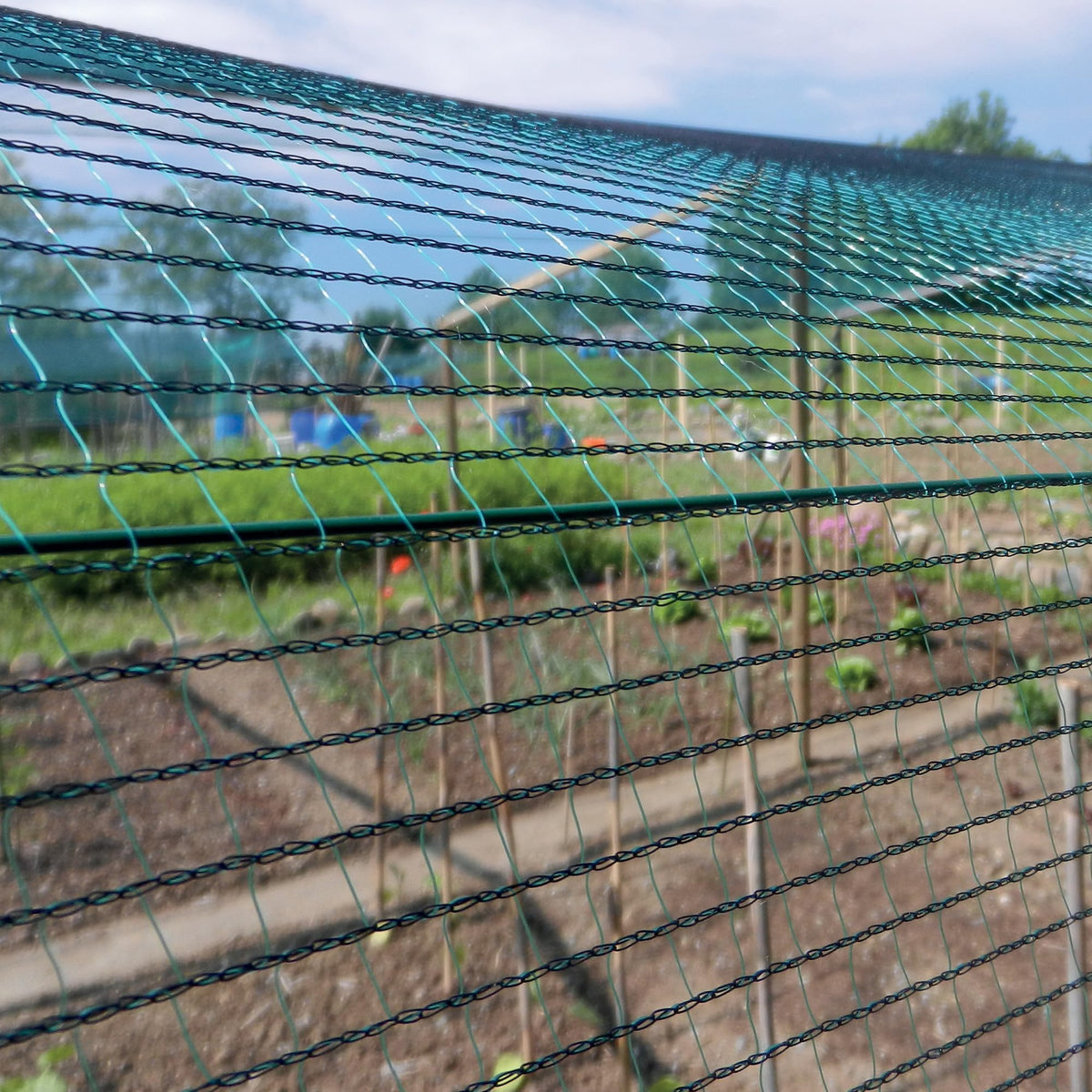Woven Mesh 6,00 x 10 m green