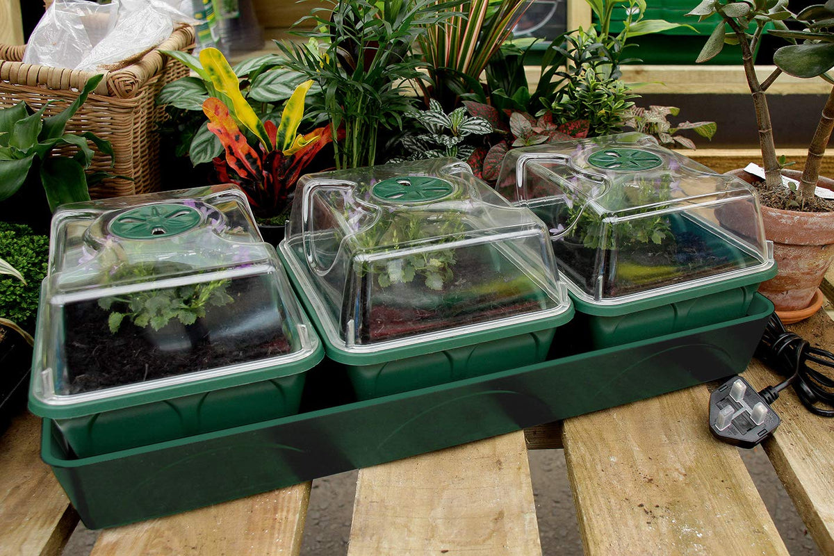 EarlyGrow Heated Electric Shatter Resistant 3-Bay Windowsill Propagator