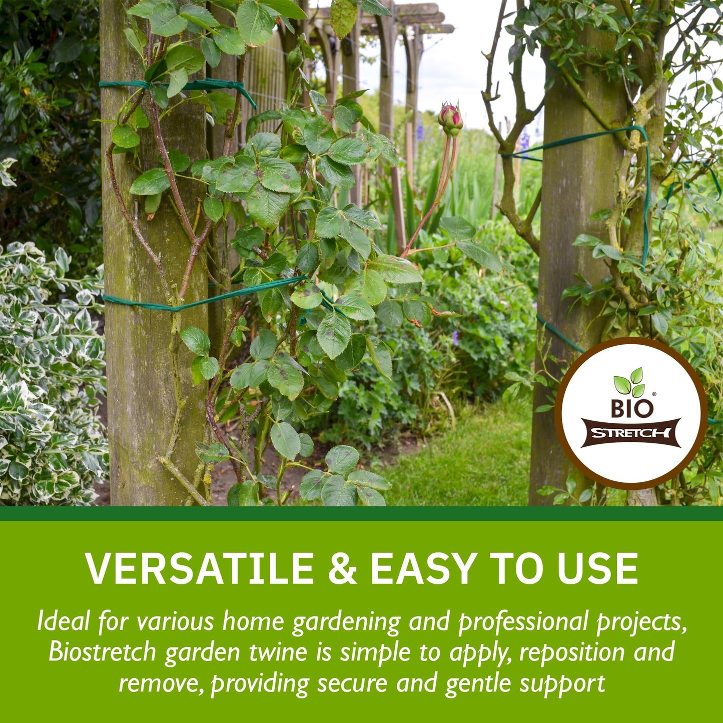Biostretch Soft Garden Plant Ties for Indoor & Outdoor Plants - Strong & Stretchy Cut-to-Length Garden Twine for Climbing Plants, Tomato Vines & Home