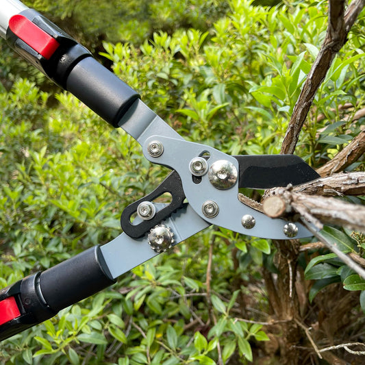 Darlac Telescopic Anvil Garden Loppers ? Lightweight Action Loppers with Extendable Handles Ideal for Pruning Hard or Dead Wood - SK5 High Carbon