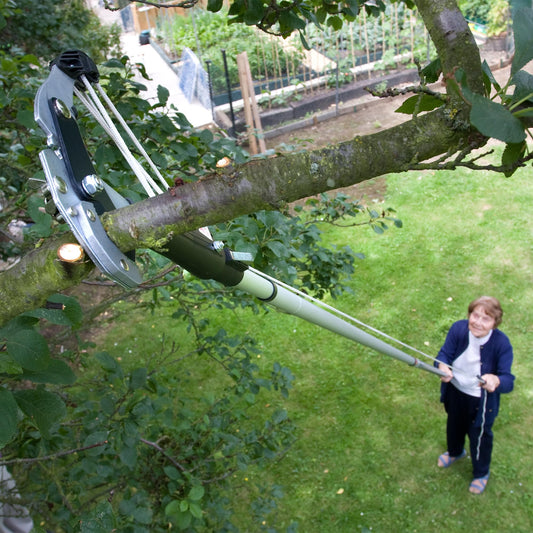 Darlac Geared Anvil Tree Pruner Head ? Interchangeable Garden Pruning Head for Telescopic Swop Top Telescopic Pole Attachment ? Immense Cutting Power