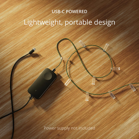 Twinkly Strings USB-C Candle 100 LED, Candle Shape LED Light String, Christmas Lights, RGB Multicolor LED Lights, Mappable LEDs, Compatible with
