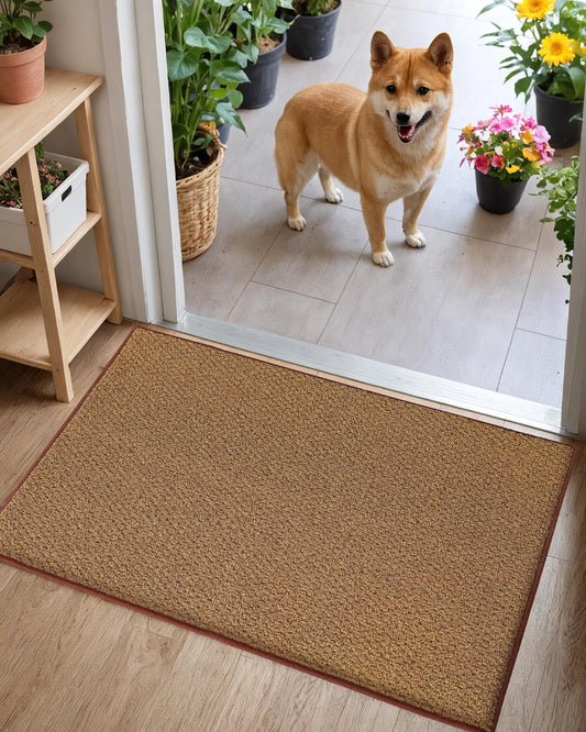 COLOR&GEOMETRY Dirt Trapper Door Mat, Heavy Duty Front Door Mat for Indoor and Outdoor, Non Slip Rubber Backing Door Matts Indoor, Machine Washable