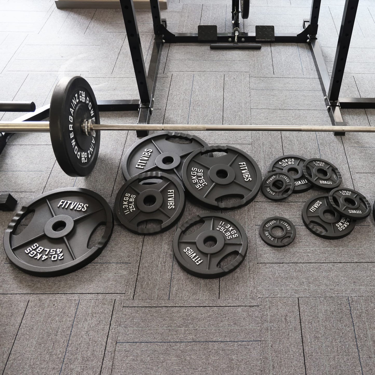 Signature Fitness Olympic 2-Inch Cast Iron Plate Weight Plate for Strength Training and Weightlifting, Two Hole Style, 25LB Pair