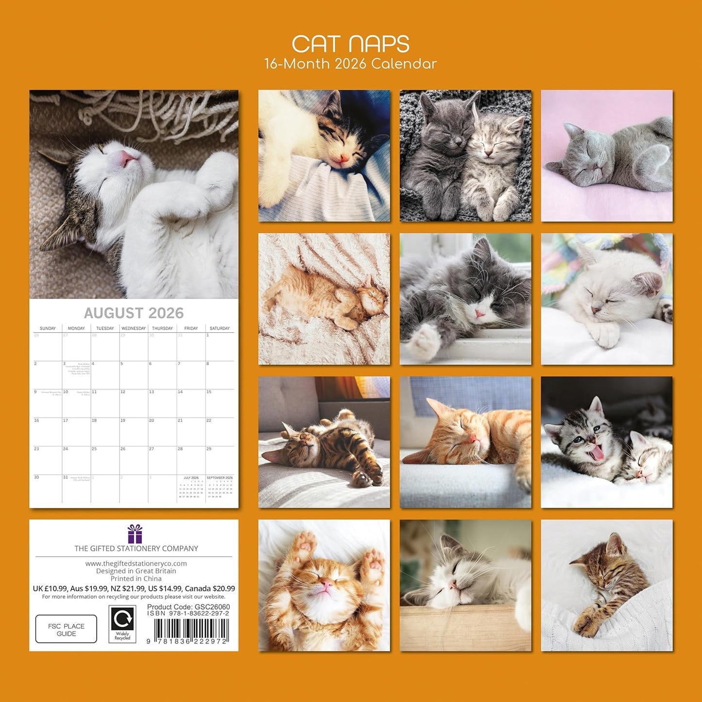 TGSC | Cat Naps 2026 Calendar 16 Month (Sept 2025-Dec 2026) Family Square Wall Calendar 2026 UK | Planner with Large Grid for Home or Office Organisation - Animals 2026/2025 Calendar