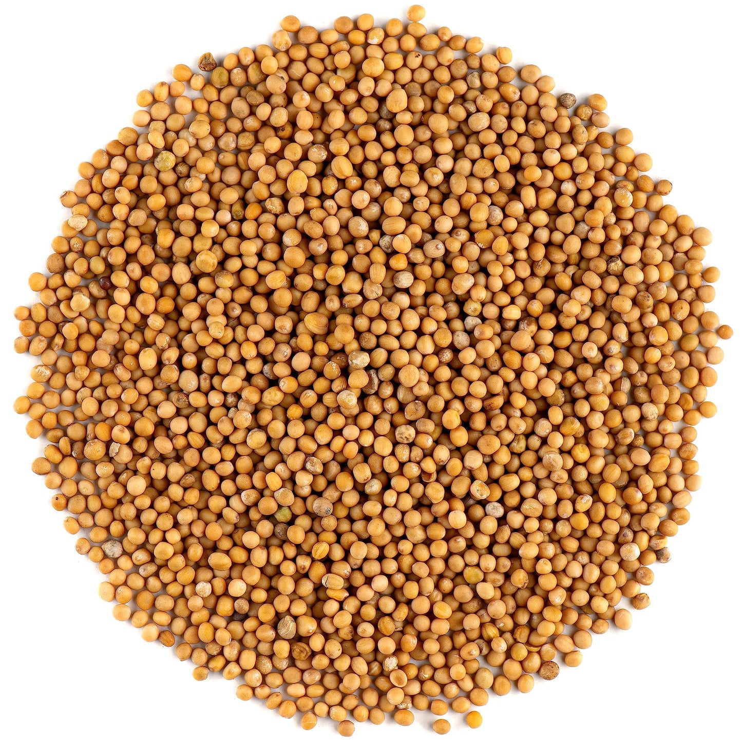 Yellow Mustard Seeds Whole - White Mustard Seed Spicy Ingriedient - 700g