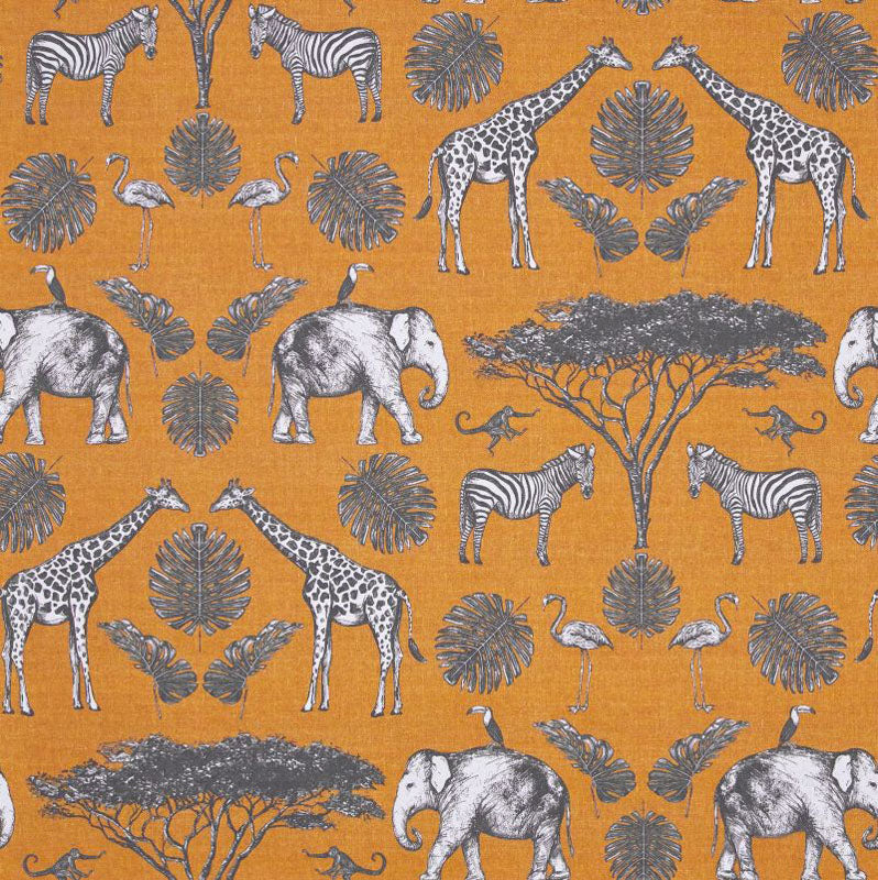 Africa