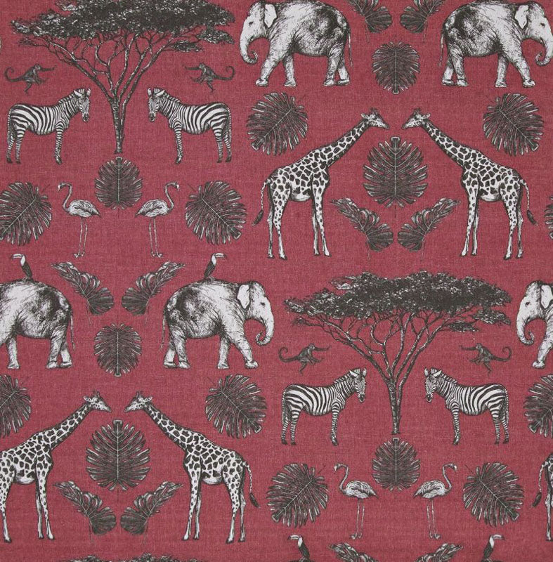 Africa