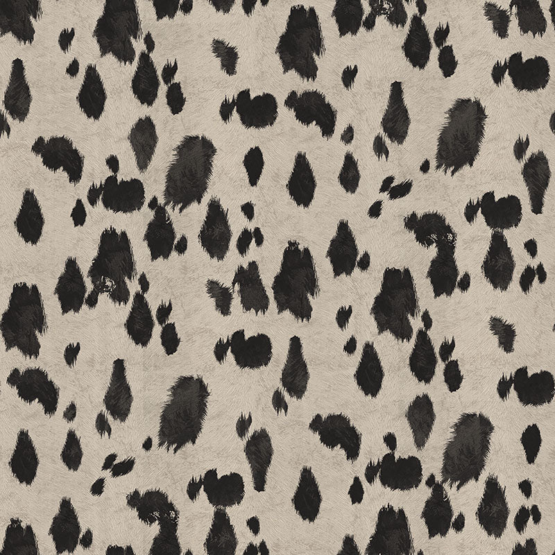 Appaloosa