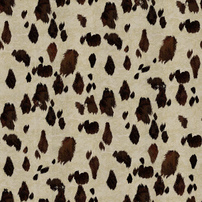 Appaloosa