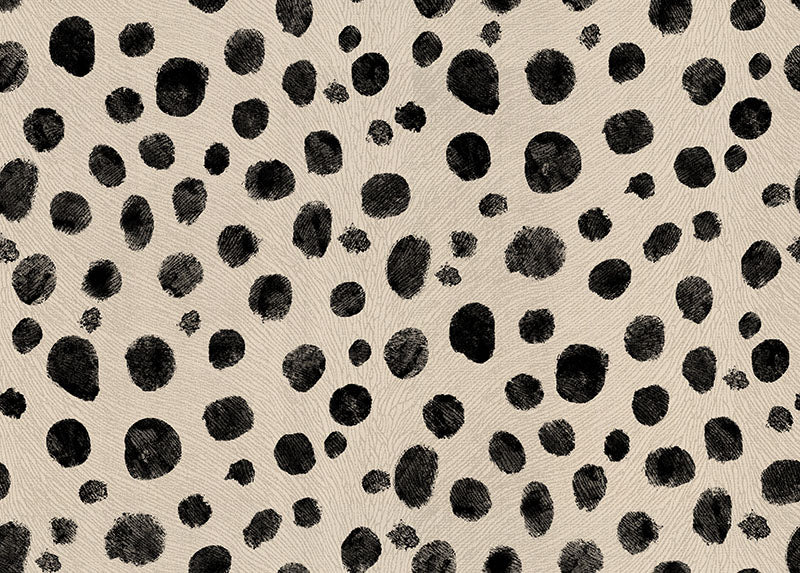 Dalmation