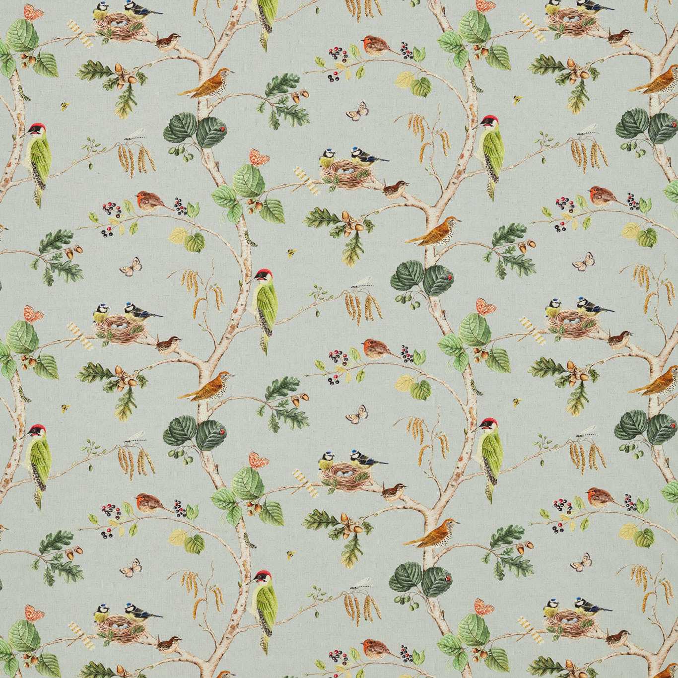 Woodland Chorus