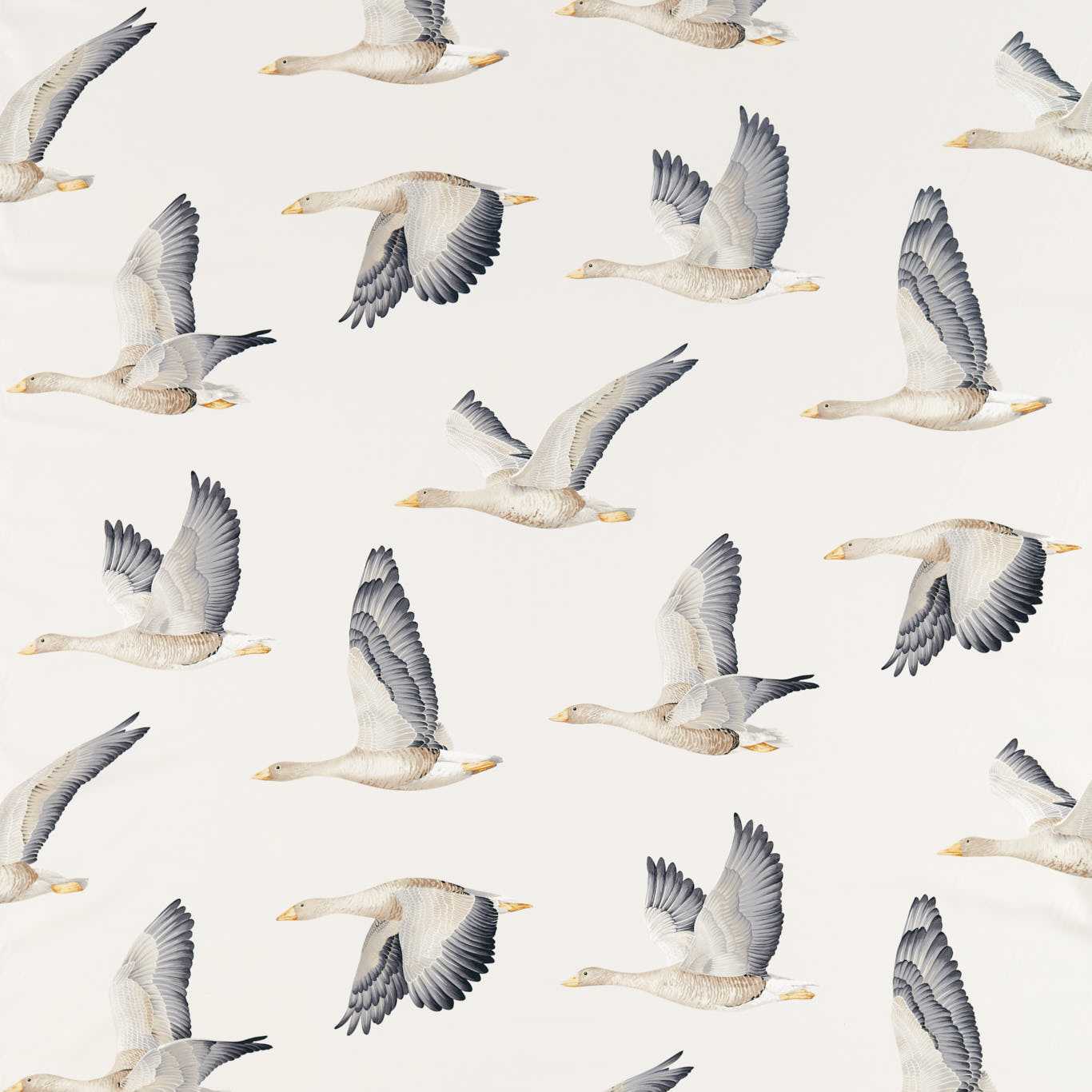 Elysian Geese