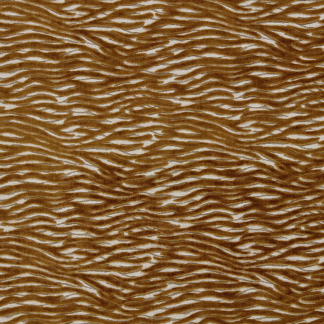 Wildstripe