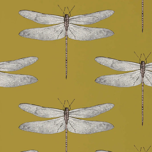 Demoiselle Wallpaper