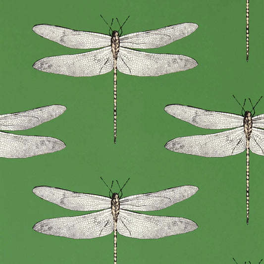 Demoiselle Wallpaper