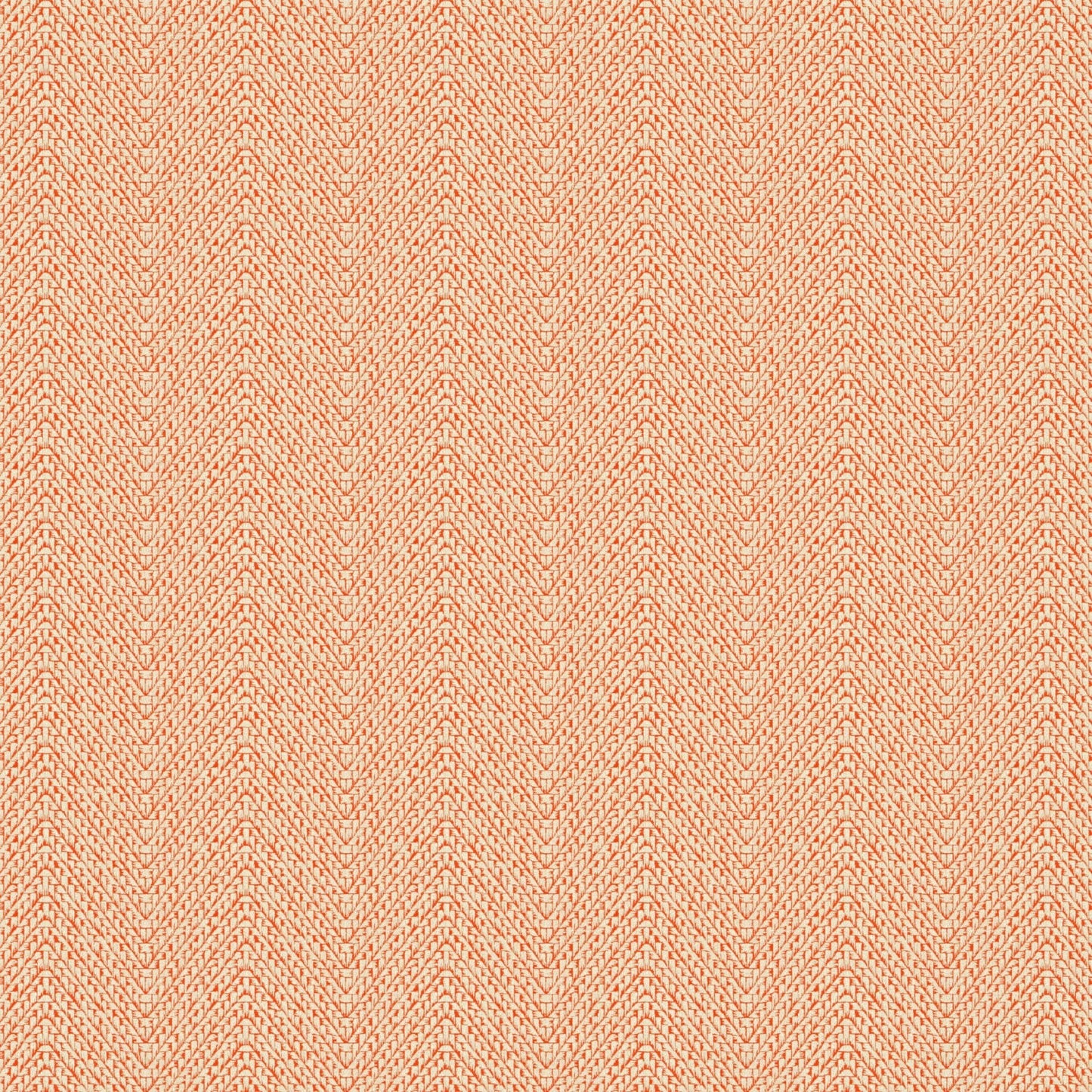 Salta