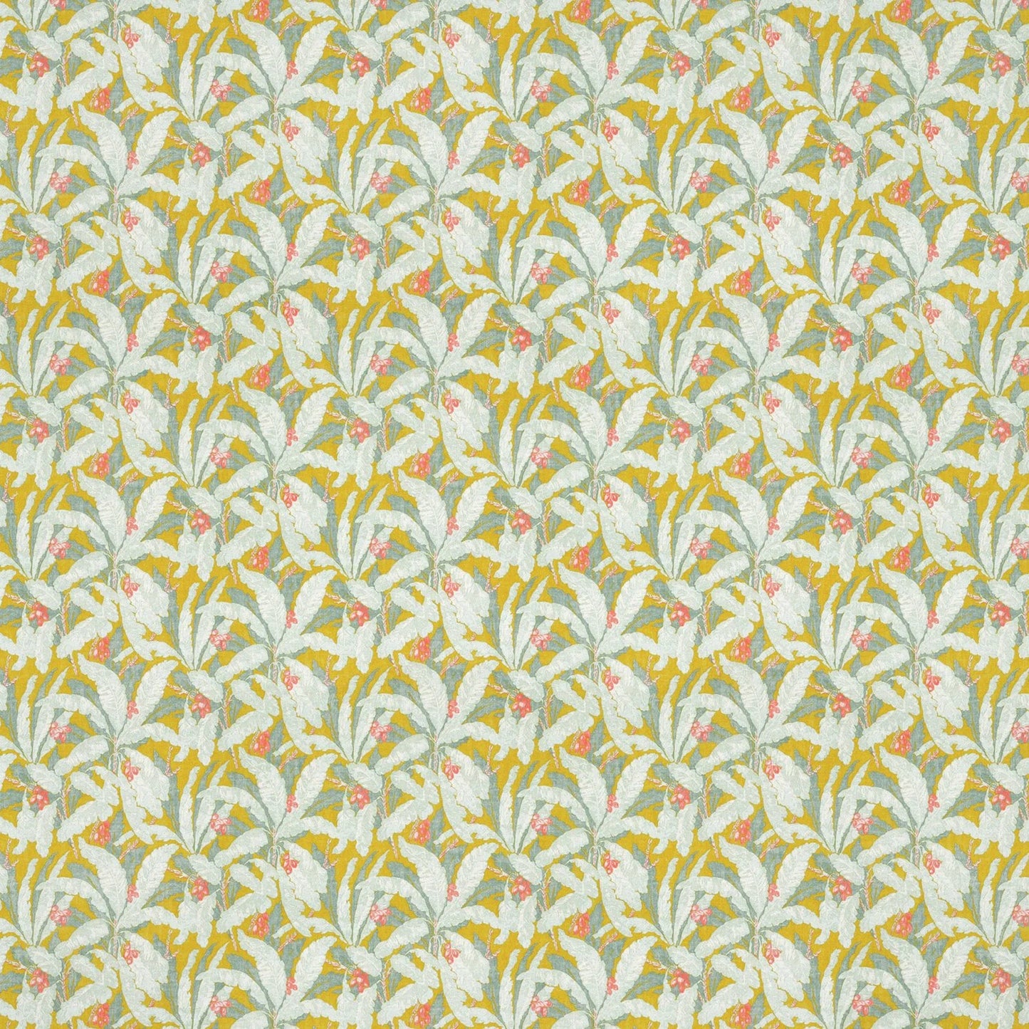Tropicana