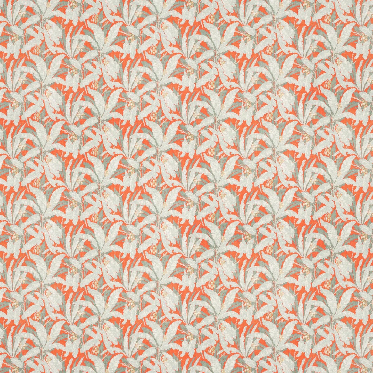 Tropicana