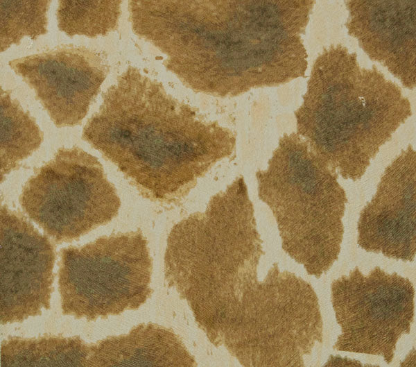 Madagascar
