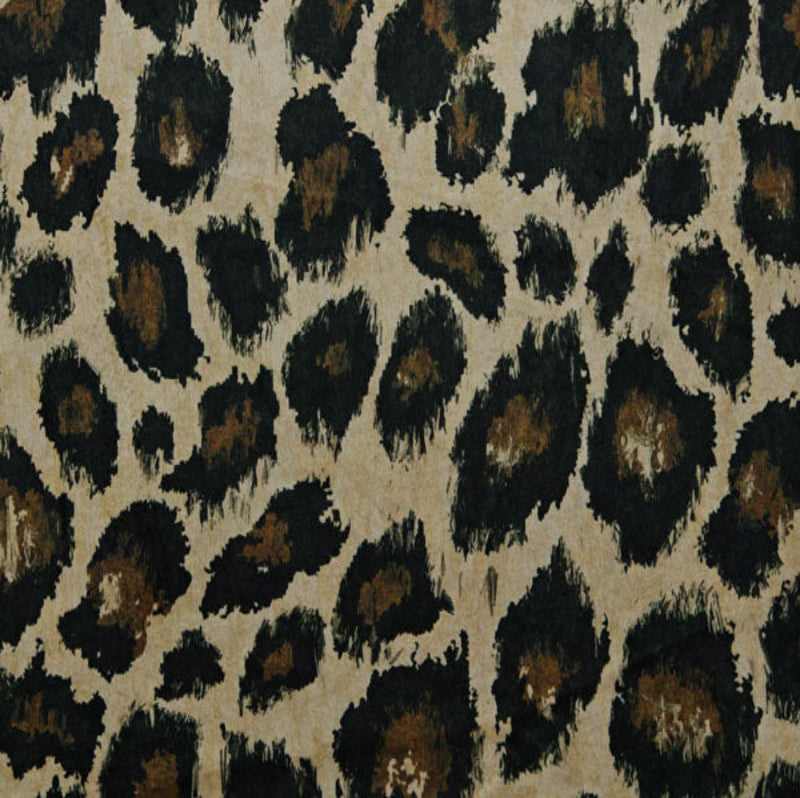 Ocelot