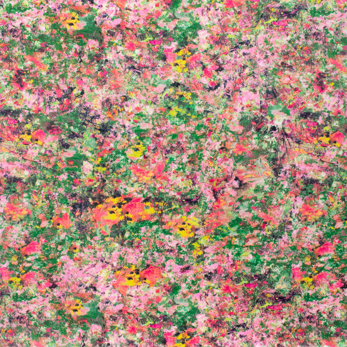 Renoir Velvet