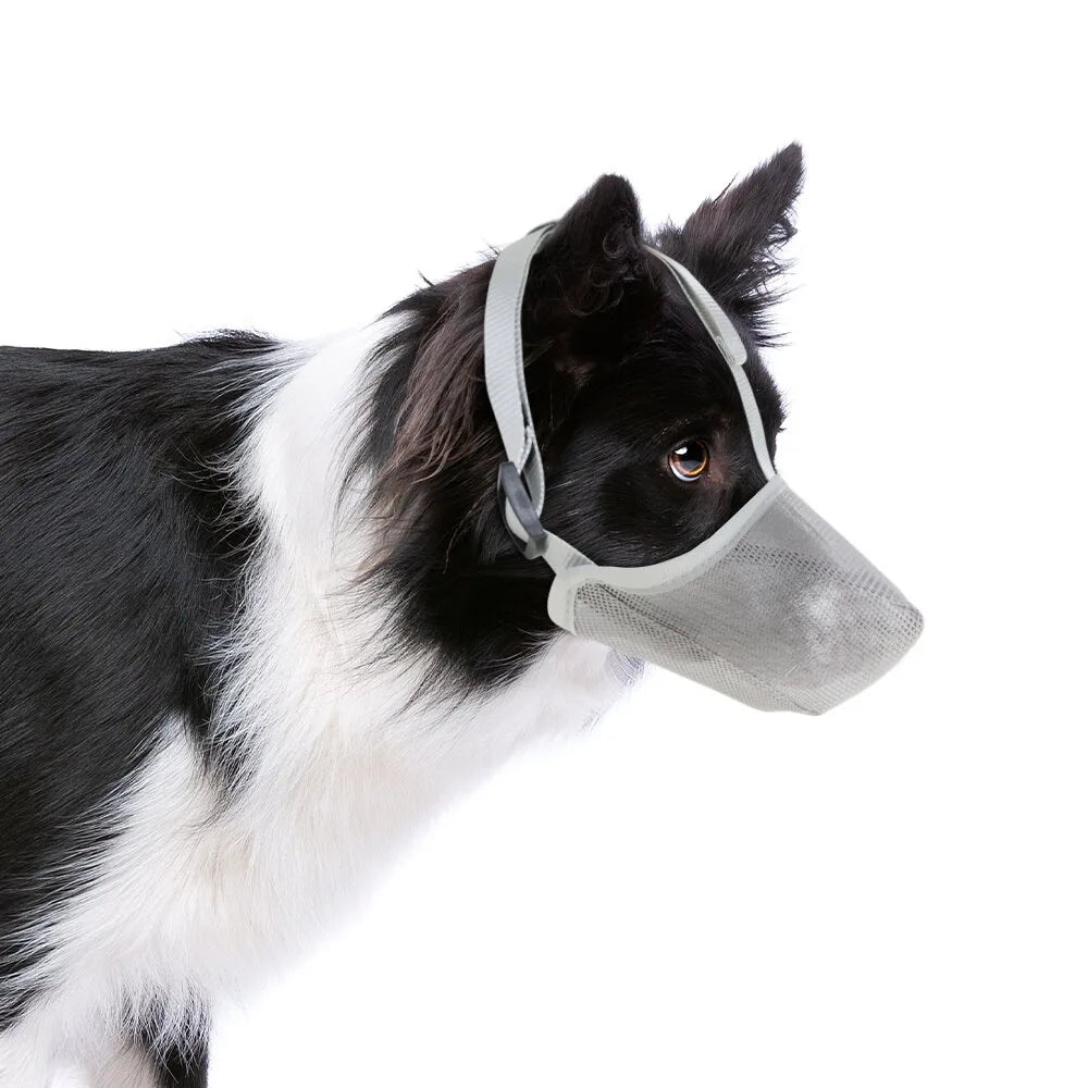 Dog Muzzle, Soft Mesh Covered Muzzles Poisoned Bait Protection With Adjustable Straps, Prevent Biting Chewing And Licking