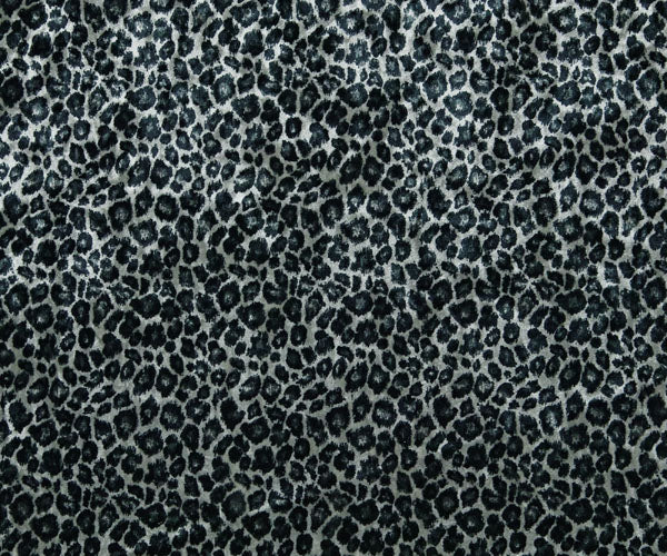 Snow Leopard