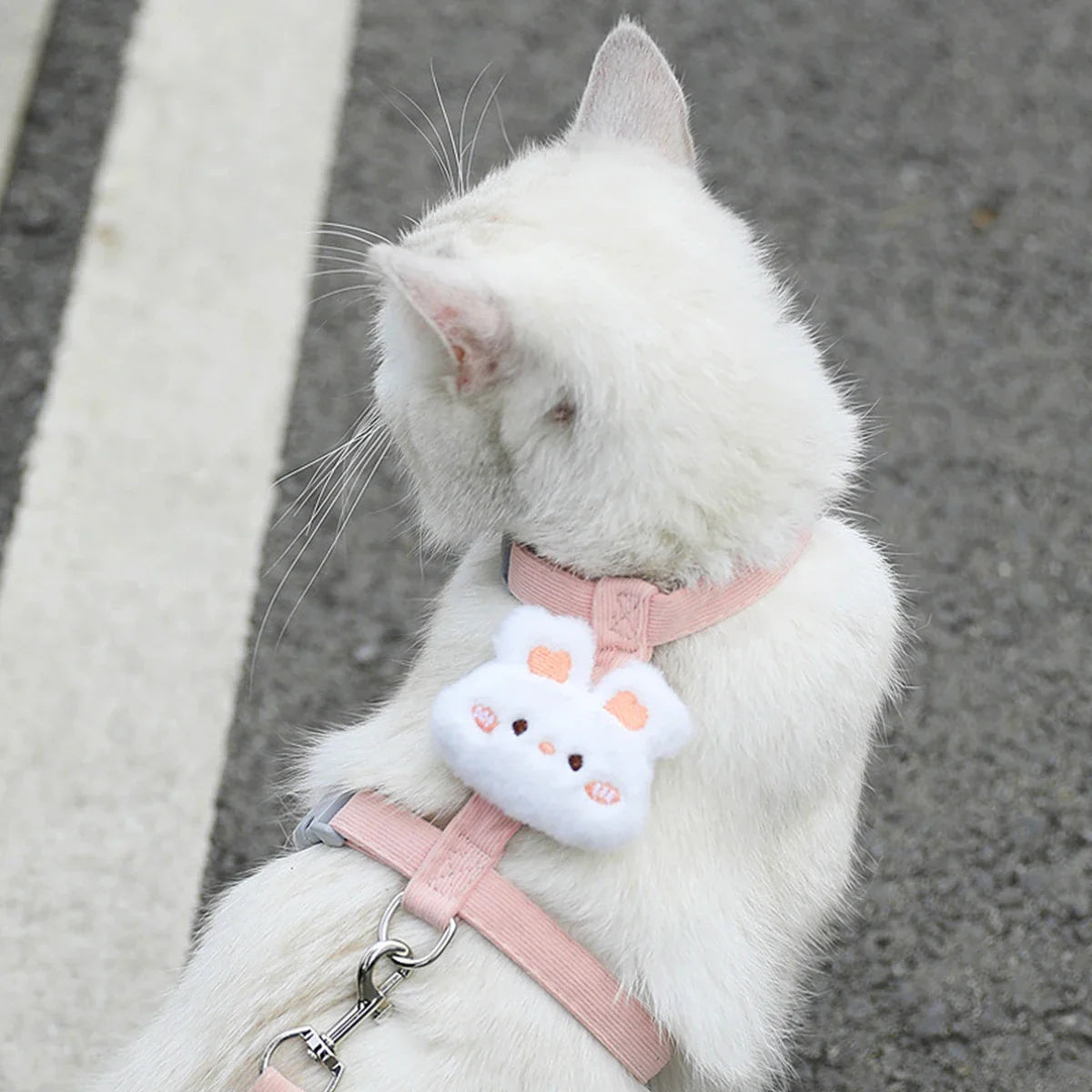 Cat Harness and Leash Sets Adjustable Dog Harness for Small Dog Leash Breashable Pet Harness Out Walking Dog Strap Cat Accessory