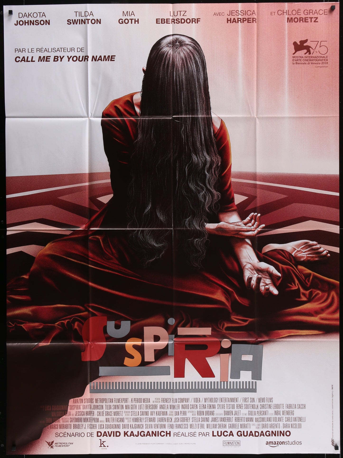 Suspiria (2018) Original French One Panel Movie Poster