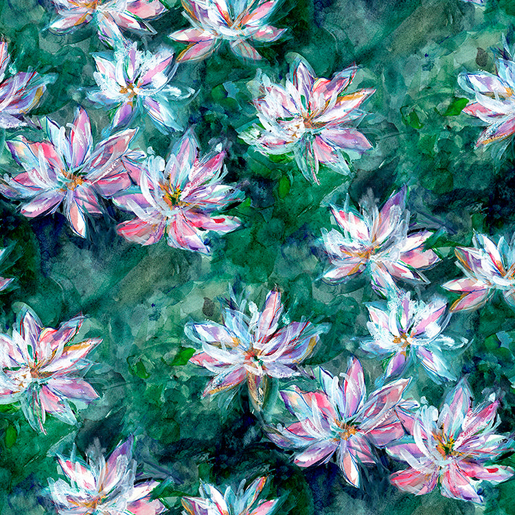 Waterlilly